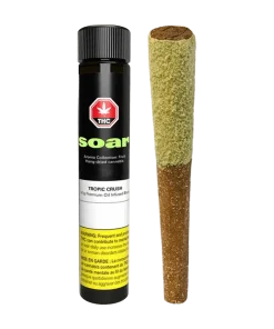 TROPIC CRUSH INFUSED BLUNT