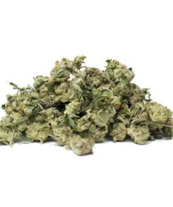 Alaskan Thunder Fuck( AA)