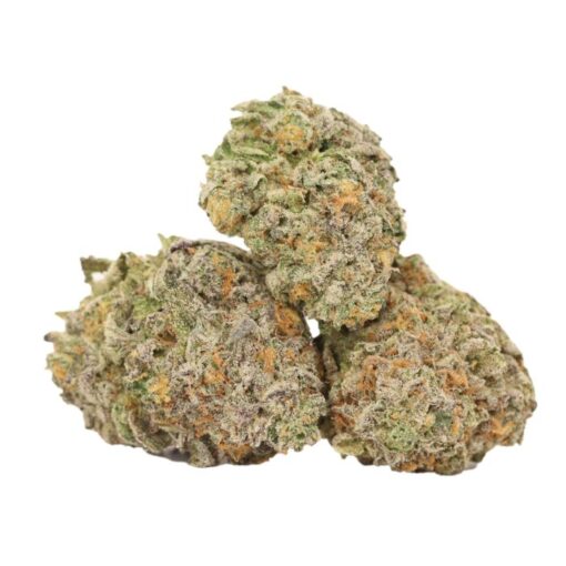Animal Cookies