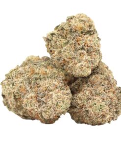 Ayahuasca Purple
