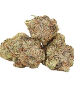 Black Tuna Kush