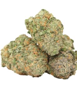 Candyland Kush
