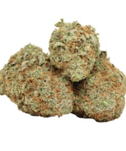 Casey Jones strain