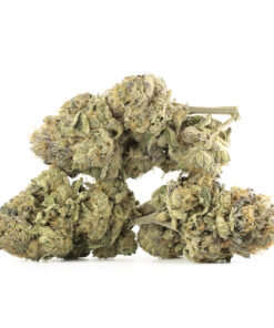 Chemdawg