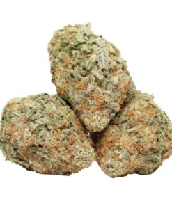 Do Si Do kush