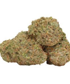 Girl Scout Cookies