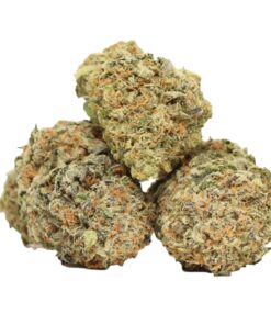 Orange Kush