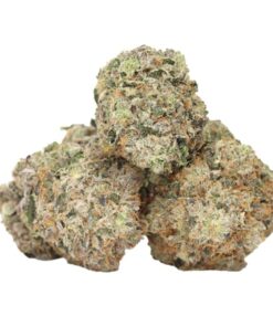 Yoda OG