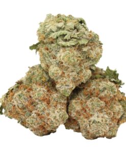Trainwreck Kush
