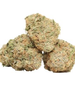 Wedding Gelato